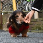 IMG_4094